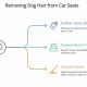 Easy Dog Hair Removal from Cars: Tips & Tricks | My Caring Dog – Tips, Stories, and Care Guides for Loving Pet Owners