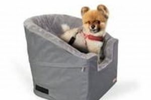 Bucket Booster Dog Car Seat | My Caring Dog – Tips, Stories, and Care Guides for Loving Pet Owners