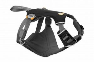 Best Ruffwear Load Up Dog Car Harness: Safe Travels | My Caring Dog – Tips, Stories, and Care Guides for Loving Pet Owners