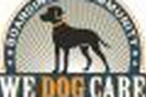 Top-Rated Dog Care in San Jose, CA | My Caring Dog – Tips, Stories, and Care Guides for Loving Pet Owners