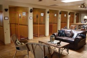 Top Dog Daycare & Boarding in Scottsdale AZ | My Caring Dog – Tips, Stories, and Care Guides for Loving Pet Owners