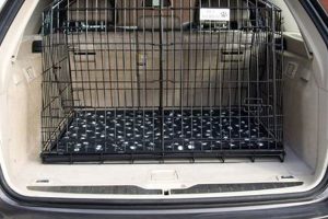 Cage Dog Car My Caring Dog – Tips, Stories, and Care Guides for Loving Pet Owners Cage Dog Car | My Caring Dog – Tips, Stories, and Care Guides for Loving Pet Owners