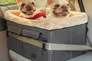 Top Dog Car Seats for Two: Safe & Comfy Rides | My Caring Dog – Tips, Stories, and Care Guides for Loving Pet Owners