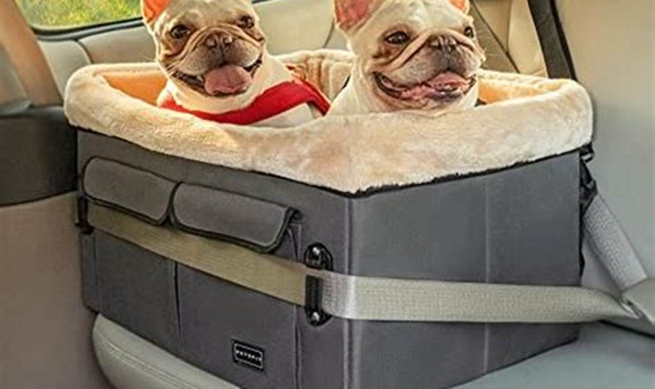 Top Dog Car Seats for Two: Safe & Comfy Rides My Caring Dog – Tips, Stories, and Care Guides for Loving Pet Owners Top Dog Car Seats for Two: Safe & Comfy Rides | My Caring Dog – Tips, Stories, and Care Guides for Loving Pet Owners