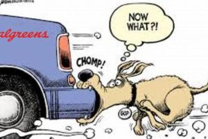 The Ultimate Guide to Dog Car Safety My Caring Dog – Tips, Stories, and Care Guides for Loving Pet Owners The Ultimate Guide to Dog Car Safety | My Caring Dog – Tips, Stories, and Care Guides for Loving Pet Owners