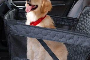 Car Seat For 40 Lb Dog My Caring Dog – Tips, Stories, and Care Guides for Loving Pet Owners Car Seat For 40 Lb Dog | My Caring Dog – Tips, Stories, and Care Guides for Loving Pet Owners