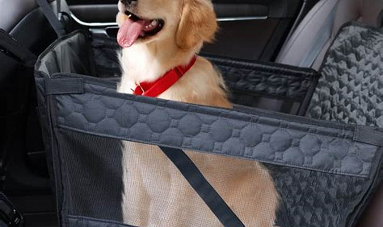 Car Seat For 40 Lb Dog My Caring Dog – Tips, Stories, and Care Guides for Loving Pet Owners Car Seat For 40 Lb Dog | My Caring Dog – Tips, Stories, and Care Guides for Loving Pet Owners