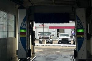 The Best Yellow Dog Car Wash & Grooming | My Caring Dog – Tips, Stories, and Care Guides for Loving Pet Owners