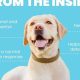 Best Skin Care Tips & Products for Dogs | My Caring Dog – Tips, Stories, and Care Guides for Loving Pet Owners