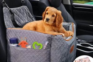 Top-Rated Best Dog Cars for Safe Travels | My Caring Dog – Tips, Stories, and Care Guides for Loving Pet Owners
