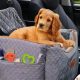 Top-Rated Best Dog Cars for Safe Travels | My Caring Dog – Tips, Stories, and Care Guides for Loving Pet Owners