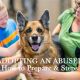 Rescuing & Rehabilitating Abused Dogs: A Guide | My Caring Dog – Tips, Stories, and Care Guides for Loving Pet Owners