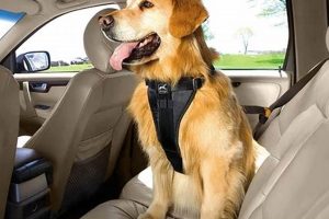 Easy Guide: Dog Car Harness On & Secure | My Caring Dog – Tips, Stories, and Care Guides for Loving Pet Owners