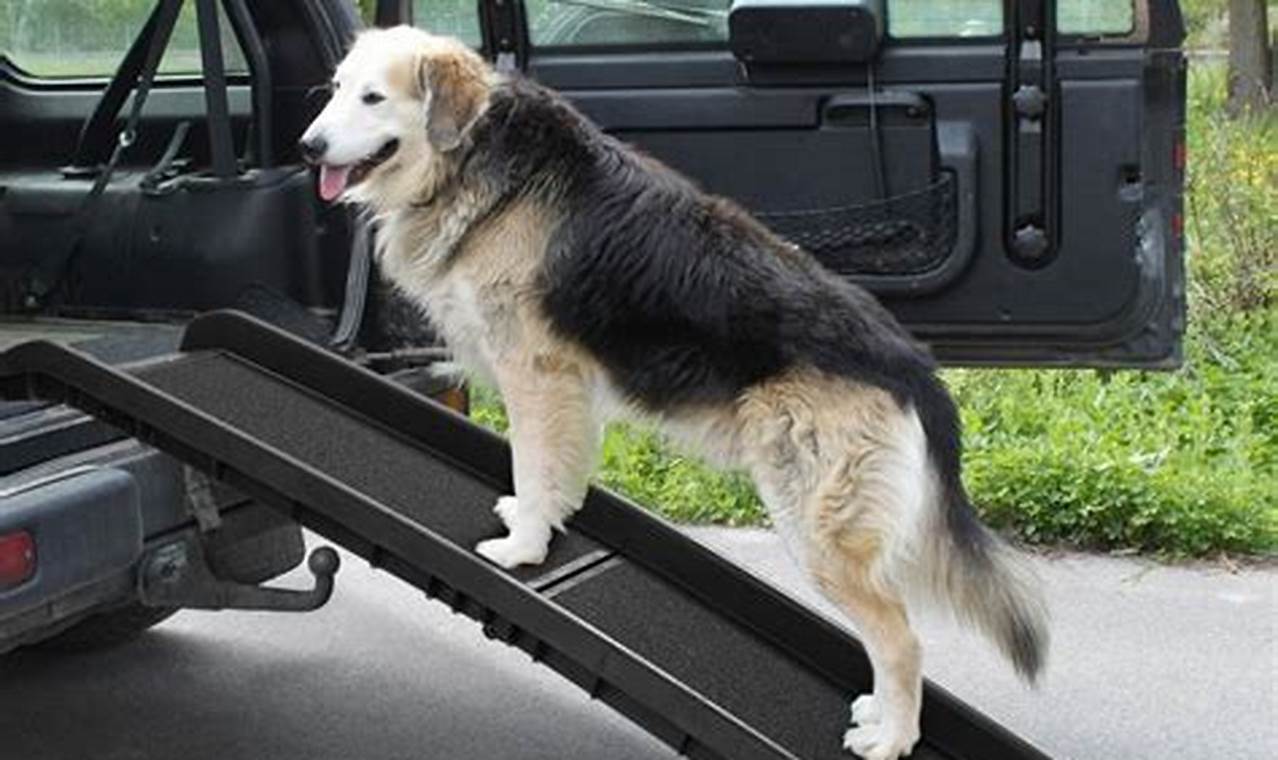 Best Dog Ramps For Car Back Seats: Safe & Easy | My Caring Dog – Tips, Stories, and Care Guides for Loving Pet Owners