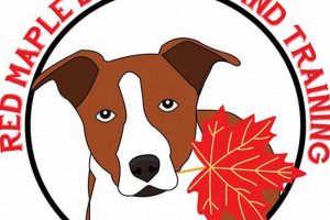 Red Maple Dog Care & Training: Tips & Tricks | My Caring Dog – Tips, Stories, and Care Guides for Loving Pet Owners