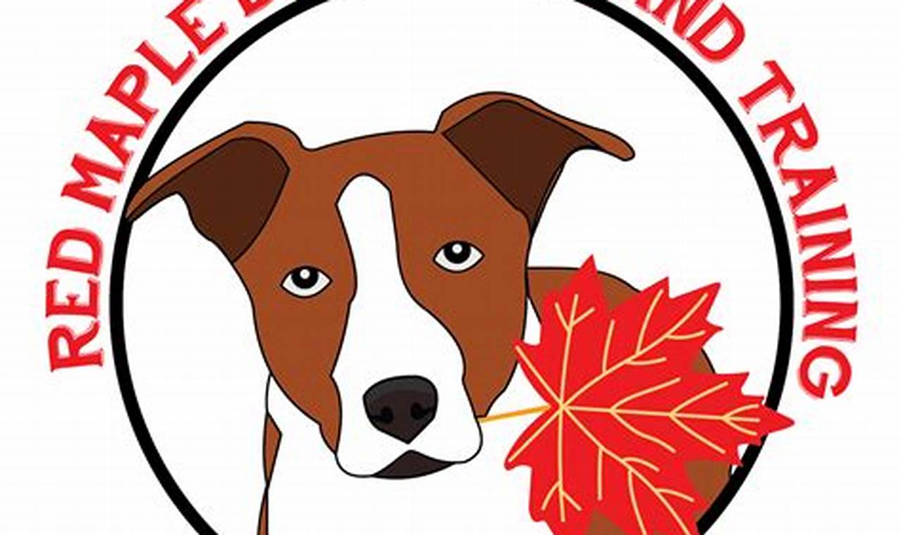 Red Maple Dog Care & Training: Tips & Tricks | My Caring Dog – Tips, Stories, and Care Guides for Loving Pet Owners