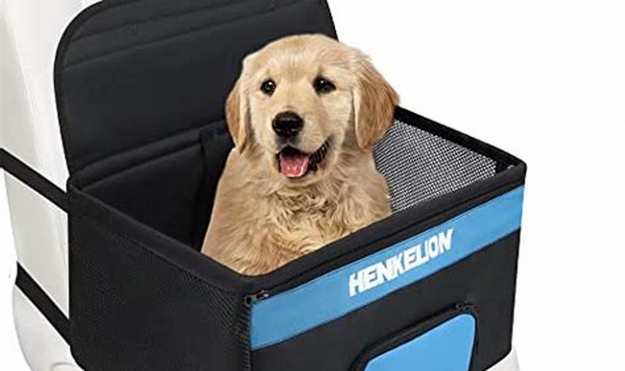 Best Car Seats for 30-Pound Dogs: Safe Travels | My Caring Dog – Tips, Stories, and Care Guides for Loving Pet Owners