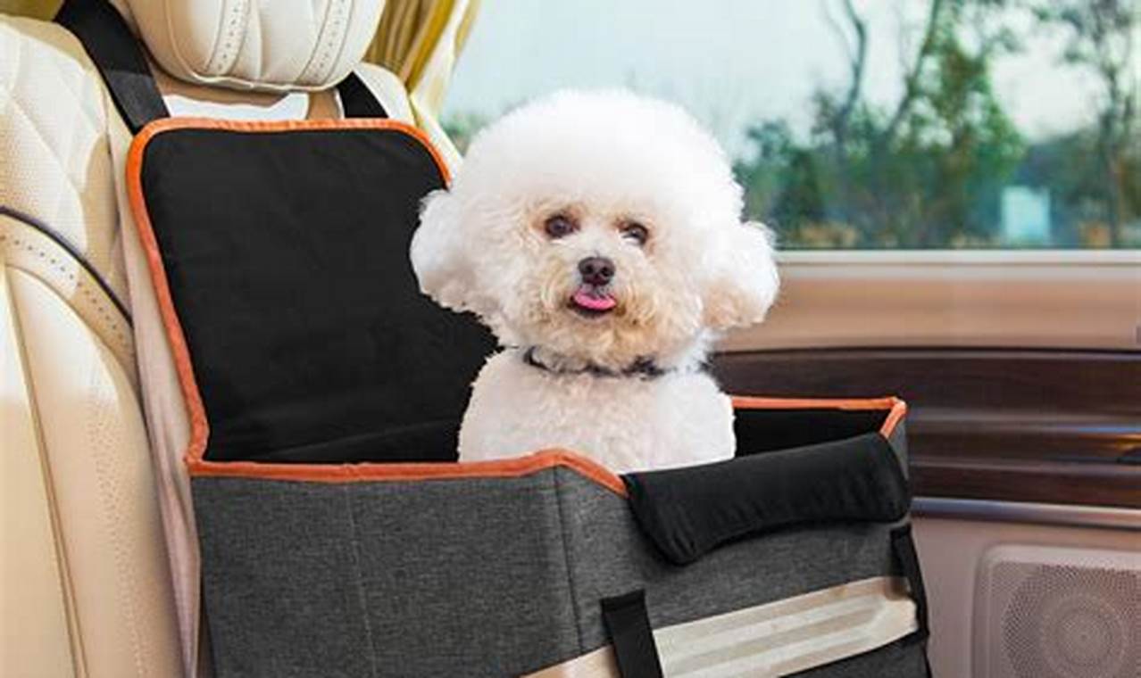 Top Booster Seats for Small Dogs in Cars: Safe Travels | My Caring Dog – Tips, Stories, and Care Guides for Loving Pet Owners