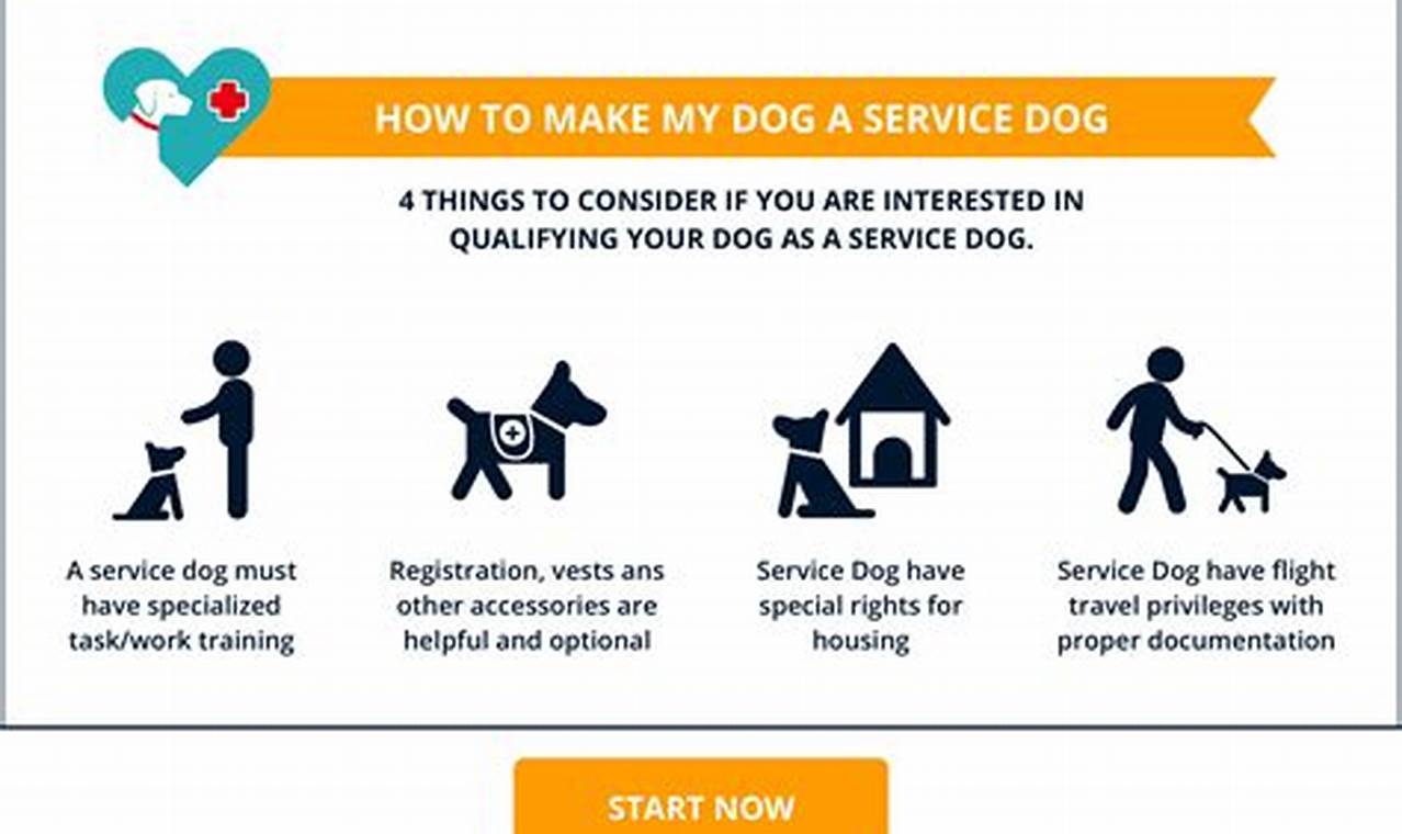 Complete Guide: Dog Trained as Service Dog Essentials My Caring Dog – Tips, Stories, and Care Guides for Loving Pet Owners Complete Guide: Dog Trained as Service Dog Essentials | My Caring Dog – Tips, Stories, and Care Guides for Loving Pet Owners