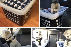 Easy DIY Dog Booster Seat for Car: Safe Travels | My Caring Dog – Tips, Stories, and Care Guides for Loving Pet Owners