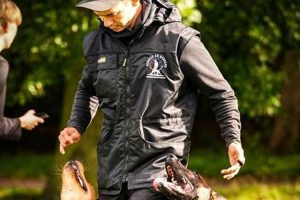 Best One on One Dog Training Near Me: Top Trainers | My Caring Dog – Tips, Stories, and Care Guides for Loving Pet Owners