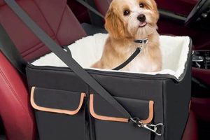 Best Dog Car Booster Seats: Safe & Secure | My Caring Dog – Tips, Stories, and Care Guides for Loving Pet Owners