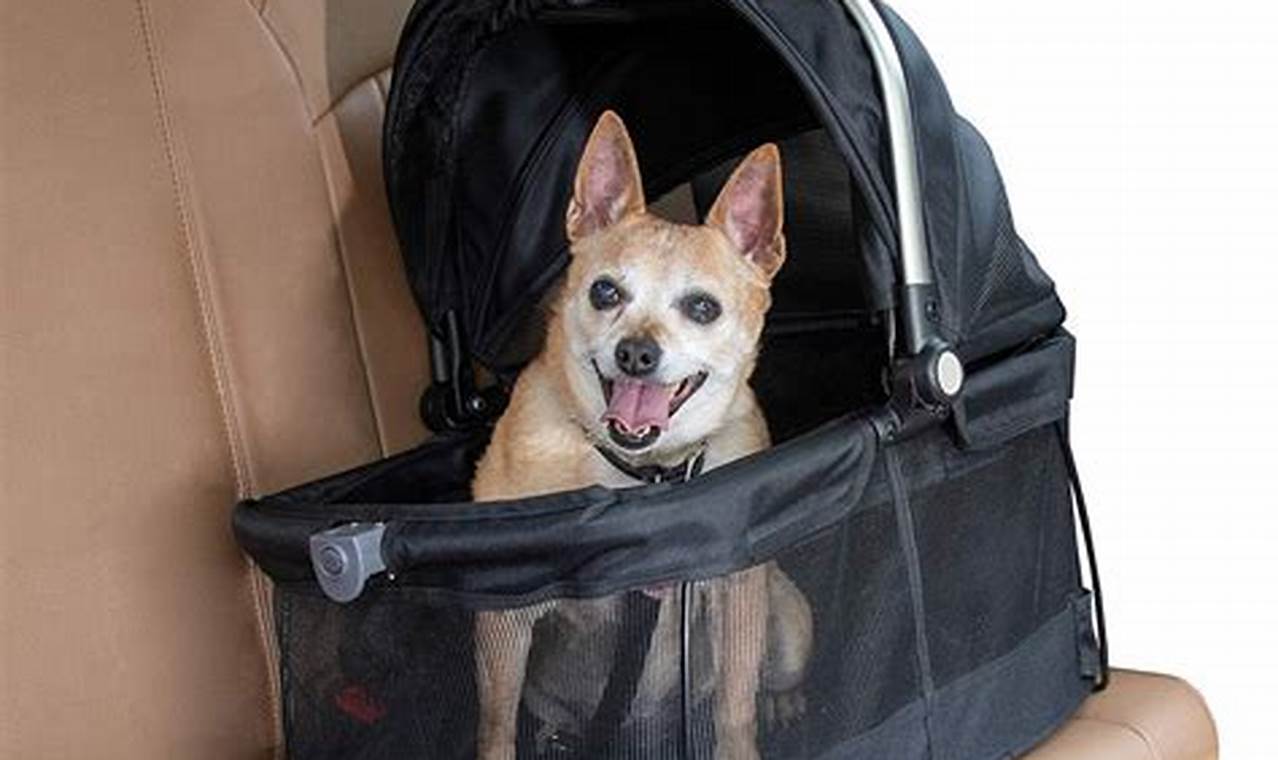 Top Small Dog Car Seat Carriers for Safe Travels | My Caring Dog – Tips, Stories, and Care Guides for Loving Pet Owners