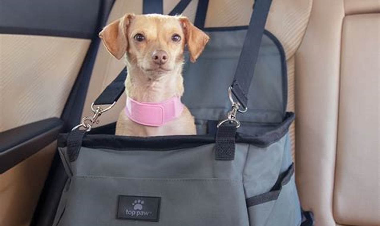 Best PetSmart Dog Car Seats: Safe & Secure | My Caring Dog – Tips, Stories, and Care Guides for Loving Pet Owners