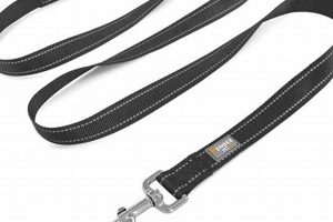 Leash Dog Care | My Caring Dog – Tips, Stories, and Care Guides for Loving Pet Owners