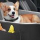 Best Taco Dog Car Seats: Safe & Cozy | My Caring Dog – Tips, Stories, and Care Guides for Loving Pet Owners