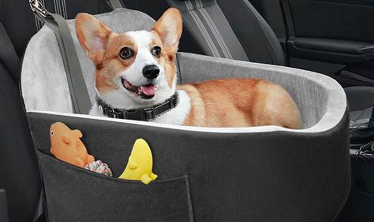 Best Taco Dog Car Seats: Safe & Cozy | My Caring Dog – Tips, Stories, and Care Guides for Loving Pet Owners