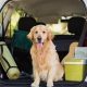 Traveling With Dog In Car | My Caring Dog – Tips, Stories, and Care Guides for Loving Pet Owners