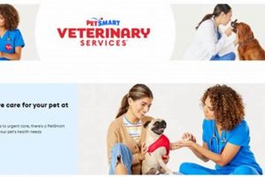 Top Dog Health Care at PetSmart: Tips & Services | My Caring Dog – Tips, Stories, and Care Guides for Loving Pet Owners