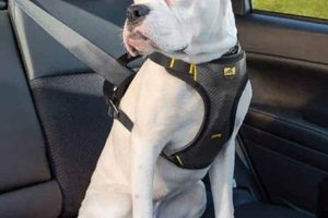 Top Crash-Tested Dog Car Safety Harnesses My Caring Dog – Tips, Stories, and Care Guides for Loving Pet Owners Top Crash-Tested Dog Car Safety Harnesses | My Caring Dog – Tips, Stories, and Care Guides for Loving Pet Owners