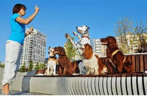 Launch Your Dream Dog Training Career Today My Caring Dog – Tips, Stories, and Care Guides for Loving Pet Owners Launch Your Dream Dog Training Career Today | My Caring Dog – Tips, Stories, and Care Guides for Loving Pet Owners