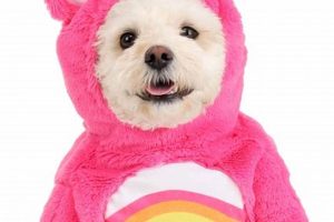 Adorable Care Bear Dog Costumes for Sale | My Caring Dog – Tips, Stories, and Care Guides for Loving Pet Owners