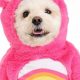 Adorable Care Bear Dog Costumes for Sale | My Caring Dog – Tips, Stories, and Care Guides for Loving Pet Owners