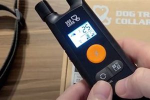 Dog Training Collars: Shock Level Guide | My Caring Dog – Tips, Stories, and Care Guides for Loving Pet Owners