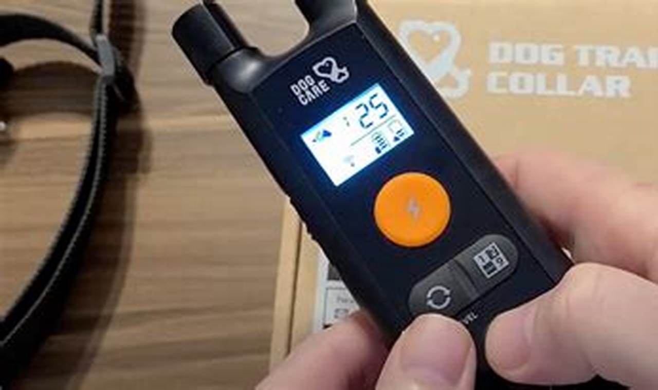 Dog Training Collars: Shock Level Guide | My Caring Dog – Tips, Stories, and Care Guides for Loving Pet Owners