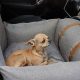 Best Cooling Dog Car Seats for Summer Travel | My Caring Dog – Tips, Stories, and Care Guides for Loving Pet Owners