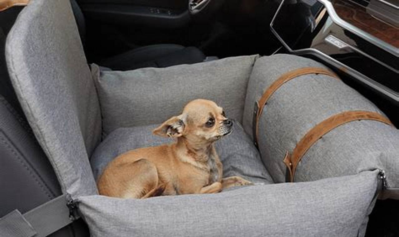 Best Cooling Dog Car Seats for Summer Travel My Caring Dog – Tips, Stories, and Care Guides for Loving Pet Owners Best Cooling Dog Car Seats for Summer Travel | My Caring Dog – Tips, Stories, and Care Guides for Loving Pet Owners