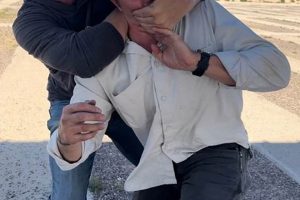 Complete Guide to Independence Training for Dogs | My Caring Dog – Tips, Stories, and Care Guides for Loving Pet Owners