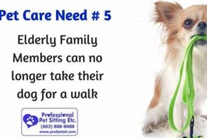 Rehoming a Dog: What to Do When You Can No Longer Cope | My Caring Dog – Tips, Stories, and Care Guides for Loving Pet Owners