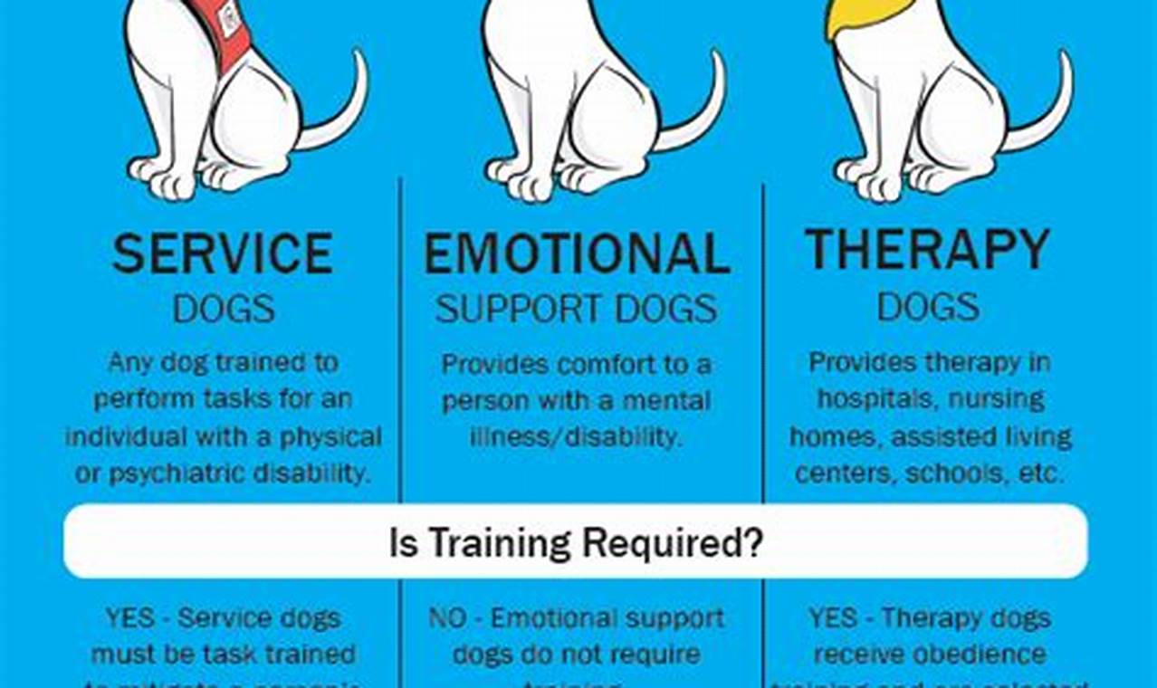 Find Trained Emotional Support Dogs Near You | My Caring Dog – Tips, Stories, and Care Guides for Loving Pet Owners