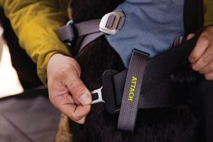 Best Ruffwear Dog Car Harnesses for Safe Travel | My Caring Dog – Tips, Stories, and Care Guides for Loving Pet Owners
