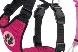 Top 5 Best Car Harnesses for Dogs UK (2024) My Caring Dog – Tips, Stories, and Care Guides for Loving Pet Owners Top 5 Best Car Harnesses for Dogs UK (2024) | My Caring Dog – Tips, Stories, and Care Guides for Loving Pet Owners