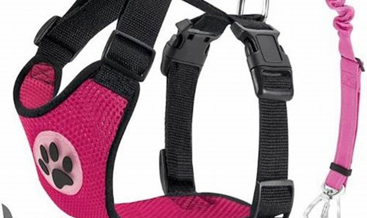 Top 5 Best Car Harnesses for Dogs UK (2024) My Caring Dog – Tips, Stories, and Care Guides for Loving Pet Owners Top 5 Best Car Harnesses for Dogs UK (2024) | My Caring Dog – Tips, Stories, and Care Guides for Loving Pet Owners