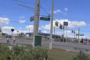 Best Dirty Dog's Car Wash Tampa Reviews & Ratings My Caring Dog – Tips, Stories, and Care Guides for Loving Pet Owners Best Dirty Dog's Car Wash Tampa Reviews & Ratings | My Caring Dog – Tips, Stories, and Care Guides for Loving Pet Owners