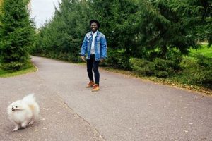 Service Dog Training Missouri My Caring Dog – Tips, Stories, and Care Guides for Loving Pet Owners Service Dog Training Missouri | My Caring Dog – Tips, Stories, and Care Guides for Loving Pet Owners