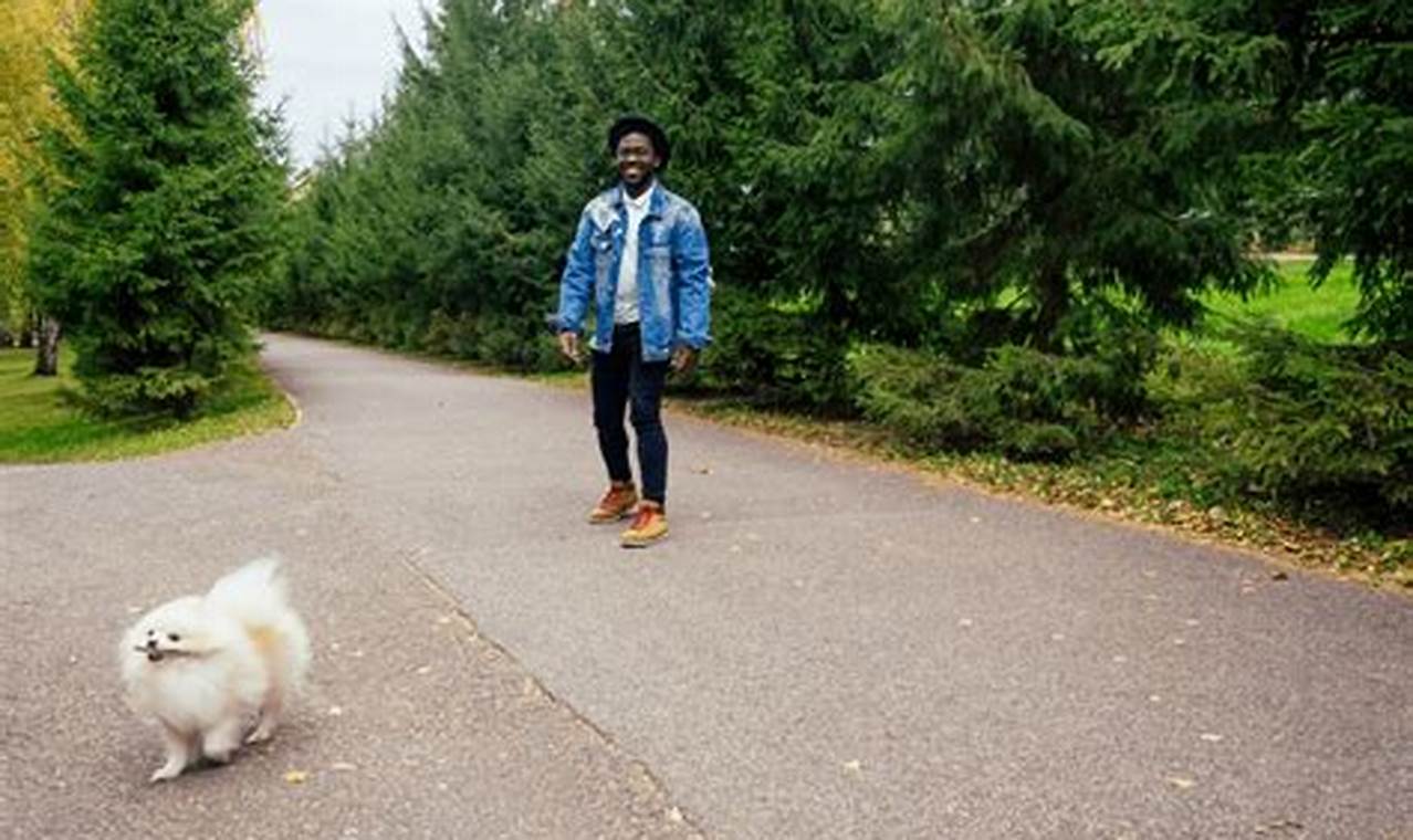 Service Dog Training Missouri My Caring Dog – Tips, Stories, and Care Guides for Loving Pet Owners Service Dog Training Missouri | My Caring Dog – Tips, Stories, and Care Guides for Loving Pet Owners